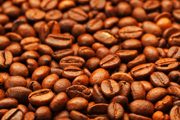 Fresh and aromatic roasted coffee beans, can be used as background.