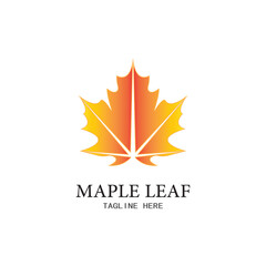 Maple leaf vector illustration