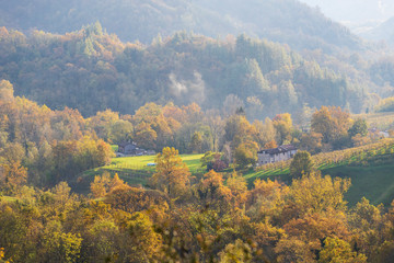 The autumn in the Trevigiani hills