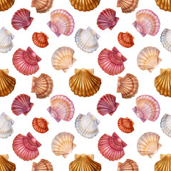 seashell seamless pattern on isolated white background, watercolor illustration