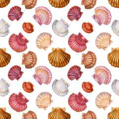 seashell seamless pattern on isolated white background, watercolor illustration