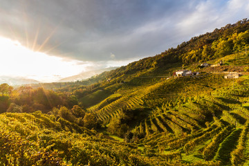 The autumn in the Trevigiani hills