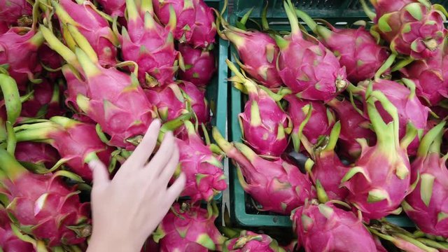 A hand while picking dragon fruit from the tropical fruits shelf in supermarket with camera panning