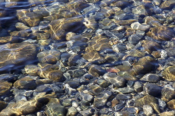 underwater sea stones