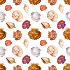seashell seamless pattern on isolated white background, watercolor illustration