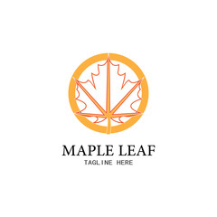 Maple leaf vector illustration