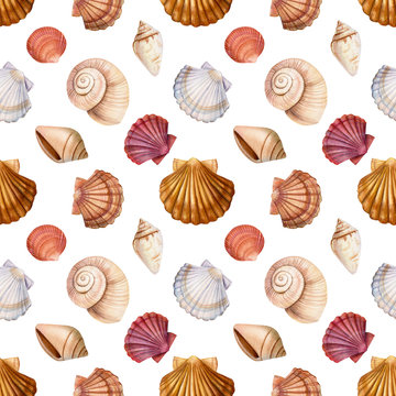 seashell seamless pattern on isolated white background, watercolor illustration