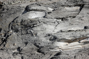 texture of stone