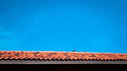 roof top on sky background. Close up of brown clay roof tiles. Red old dirty roof. Old roof tiles. Close-up aerial view of the traditional red Mediterranean roofs with blue summer sky in the old town
