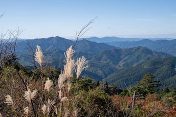 高野山 秋のススキと高野山山並 女人道巡り 