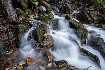 Fototapeta na wymiar Wasserfall im Schwarzwald 