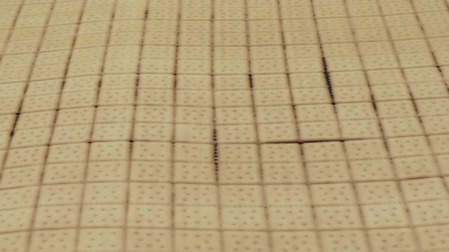 biscuit on production line in industrial
