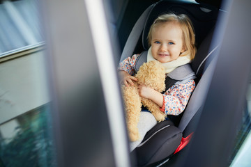 Adorable toddler girl in modern car seat