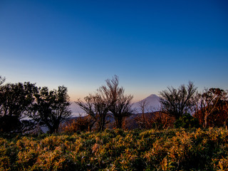 【静岡県伊豆半島】伊豆山稜線歩道からの夕景【秋・富士山】