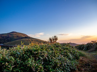 【静岡県伊豆半島】伊豆山稜線歩道からの夕景【秋・だるま山周辺】