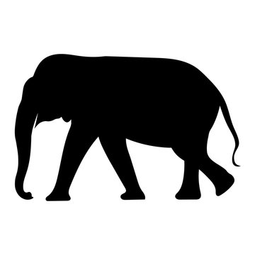 black image outline elephant Asia walking, graphics design vector Illustration isolated on white background