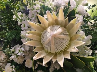 White Rose and many flowers 