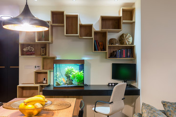 Interior of a open plan apartment with wooden shelf