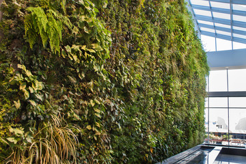 Green nature background of vertical garden with tropical planting leafs indoors