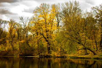 Fototapeta na wymiar autumn forest upon the water