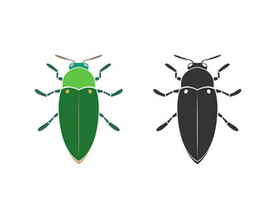 Vector of jewel beetle on a white background. Insect. Animal. Beetle. Easy editable layered vector illustration.