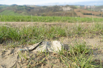 bottiglie di plastica inquinamento