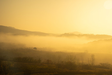 Obraz na płótnie Canvas a fog in mountain at sunrise
