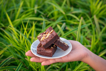 Fudge brownies in white dish on hand