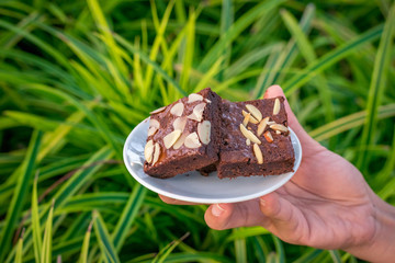 Fudge brownies in white dish on hand