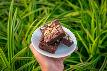 Fudge brownies in white dish on hand