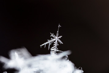 natural snowflakes on snow, winter