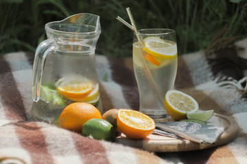 Close up preparing ice cocktail lemonade at hot summer day. Metal straw. Eco friendly picnic on  meadow.  Reusable 