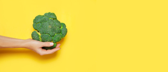 Female hand holding broccoli on yelow background.