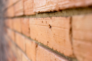 Close-up​ old​ red​ brick​ wall​ texture​ background​ at​ Tha Phae Gate, Chiangmai​, Thailand.​ Sensitive​ focus​ of​ brick.
