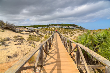 Obraz premium Holzsteg mit Dünenlandschaft in Cala Mesquida / Mallorca