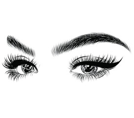  Fashion illustration of the eye with long full lashes. Hand drawn vector idea  Natural eyebrows and modern makeup