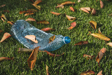 Blue plastic bottle on the grass. Dry leaves, lawn, pollution. Single use plastic, PET, environment.