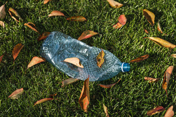 Blue plastic bottle on the grass. Dry leaves, lawn, pollution. Single use plastic, PET, environment.