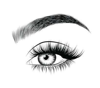  Fashion illustration of the eye with long full lashes. Hand drawn vector idea  Natural eyebrows and modern makeup