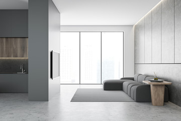 Gray and white living room with TV