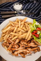 Greek gyros dis with fries and salad