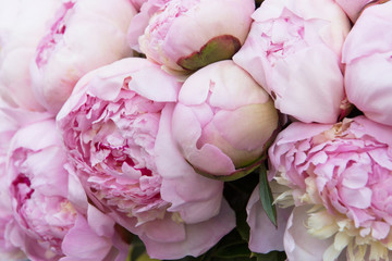 Bouquet of white pink peonies closeup, flowers background