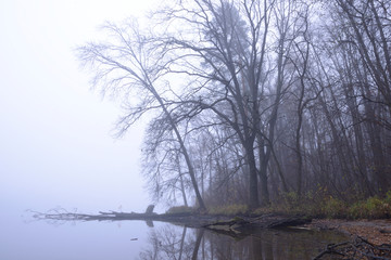 Late fall, early morning. Trees on the lakeside and the lake in the thick fog, landscape 