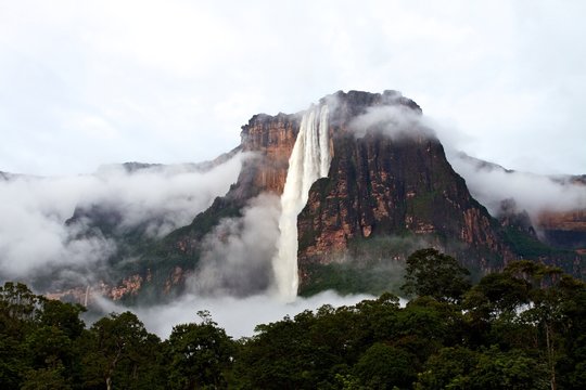 Salto Angel waterfall after a rainy night. The Salto Angel is the highest waterfall in the world with 979 meters, Canaima, Venezuela 