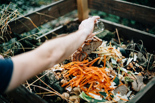 human hand pouring water on organic compost heap