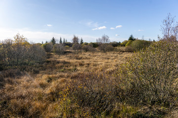 Wandern im hohen Venn