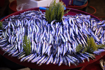 Fresh anchovies at fish market