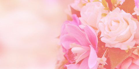 Naklejka na ściany i meble Blurred of rose flowers pink blooming in the pastel color style for background. Space for text