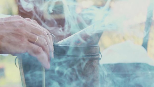 bee-maker beekeeper man working of a smoke pipe beeper smoker device for repelling lifestyle evil bees. slow motion video. apiary. beekeeping concept bee agriculture