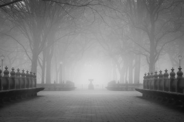 Misty Central Park in New York city